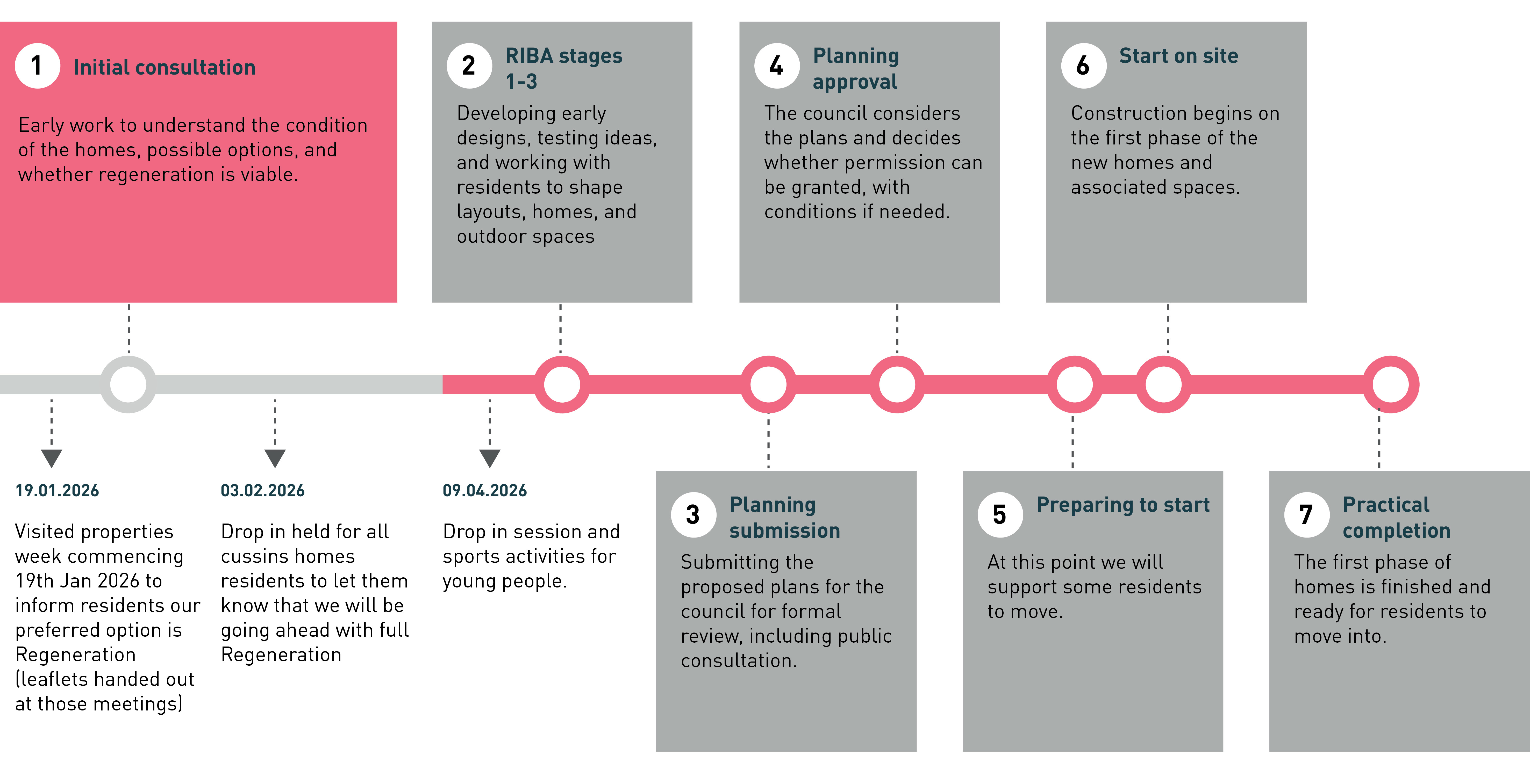 Image with a timeline of the entire regeneration process